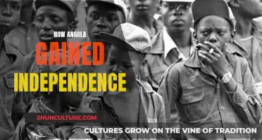 Angola's Liberation: A Fight for Independence