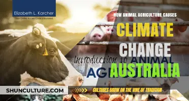 Animal Ag's Climate Impact: Australia's Story