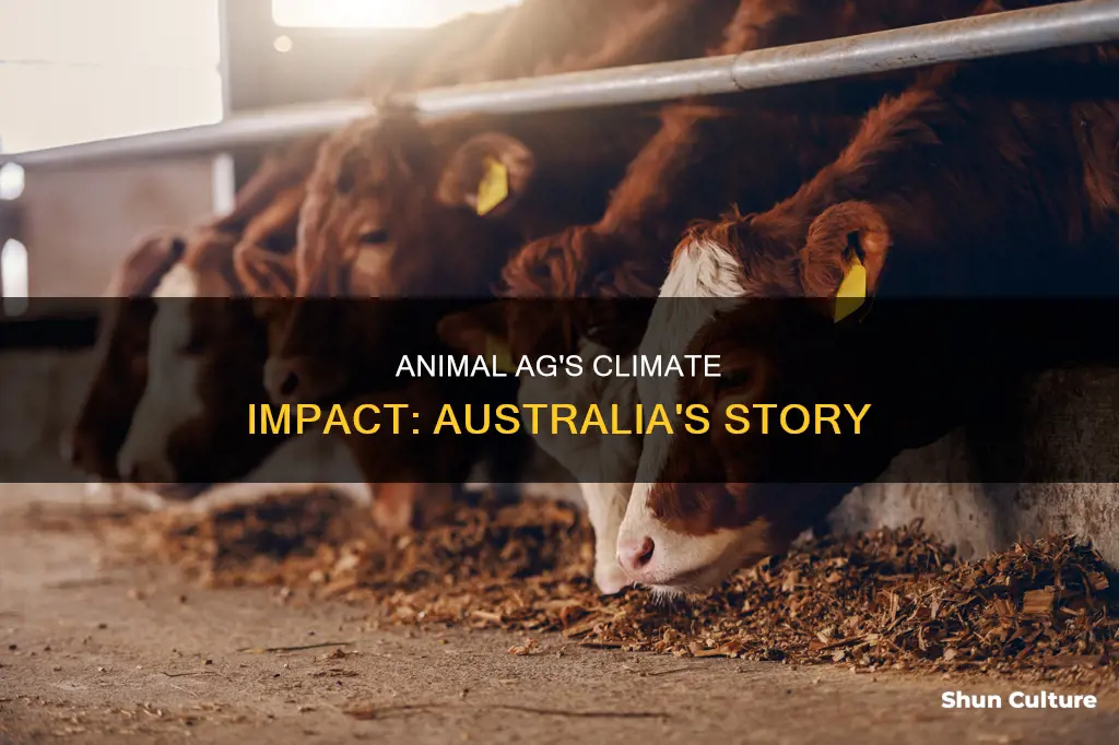 how animal agriculture causes climate change australia