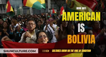 Anti-Americanism in Bolivia: Exploring the Complex Relationship