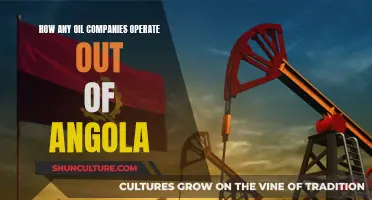 Angola's Oil Industry: Who Are the Key Players?