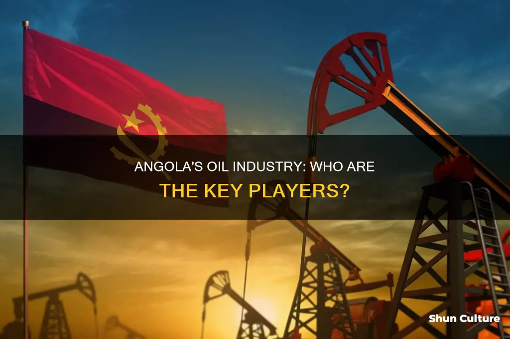 how any oil companies operate out of angola