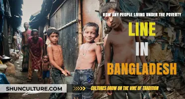 Understanding Bangladesh's Poverty Crisis: Lives Below the Line