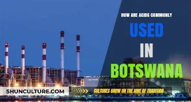 Common Uses of Acids in Botswana's Industries and Daily Life