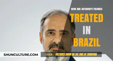 Respect, Resistance, and Power: Authority Figures in Brazilian Society