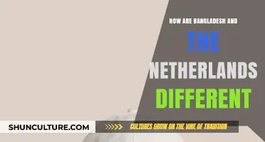 Bangladesh vs. Netherlands: Contrasting Cultures, Landscapes, and Lifestyles Explored