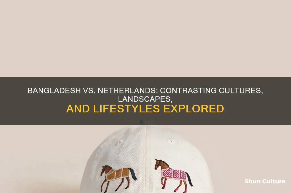 how are bangladesh and the netherlands different