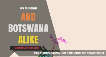 Bolivia and Botswana: Surprising Similarities in Culture, Geography, and Economy