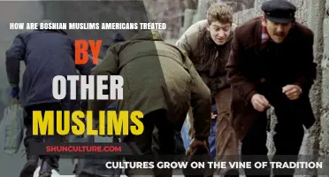 Bosnian Muslim Americans: Perceptions and Treatment Within Broader Muslim Communities