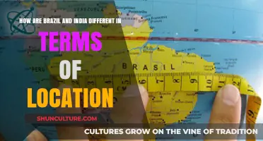 Brazil vs. India: Contrasting Geographies and Unique Global Positions