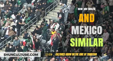 Brazil and Mexico: Shared Cultures, Economies, and Global Influences Explored