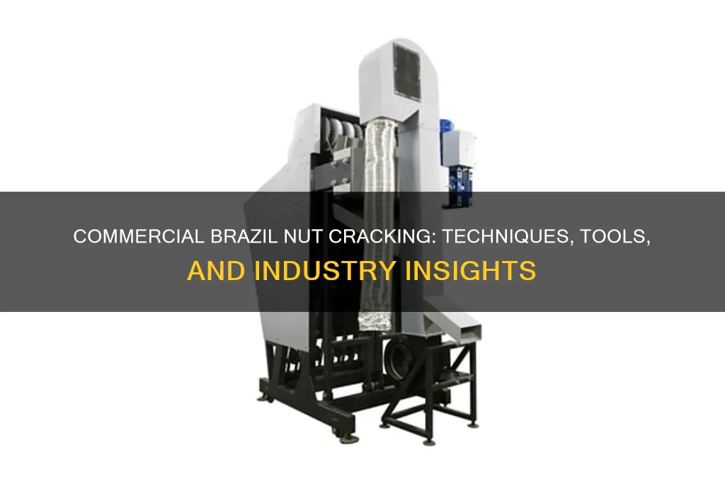 how are brazil nuts cracked commercially