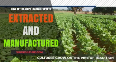 Brazil's Top Exports: Extraction and Manufacturing Processes Explained