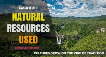Brazil's Natural Resources: Diverse Uses and Economic Impact Explained