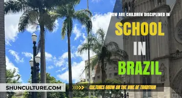 Disciplining Brazilian Students: Insights into School Practices and Methods
