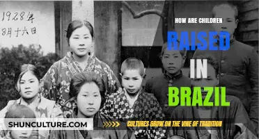 Brazilian Childhood: Family, Culture, and Traditions in Raising Kids