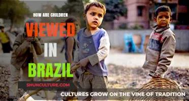 Children in Brazil: Cultural Values, Family Roles, and Social Perspectives