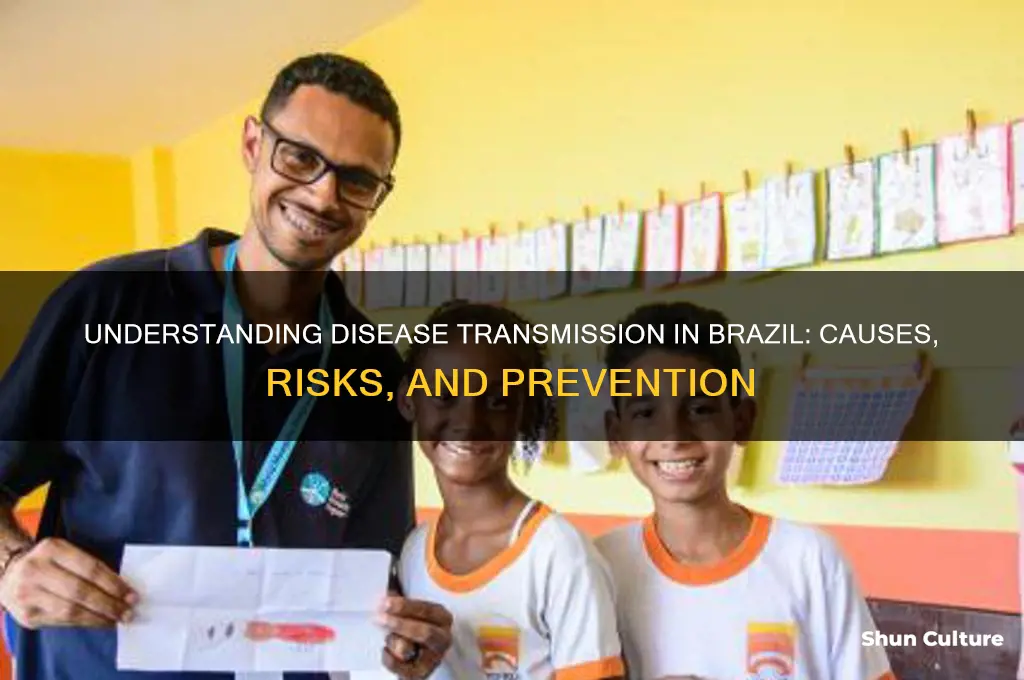 how are diseases spread in brazil