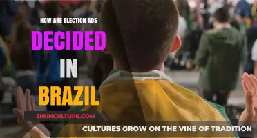 Brazil's Election Ads: Strategies, Regulations, and Decision-Making Process