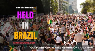 Understanding Brazil's Electoral Process: A Comprehensive Guide to Voting
