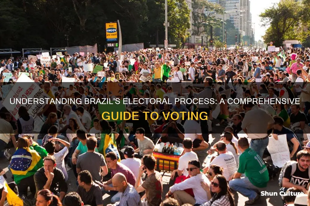 how are elections held in brazil