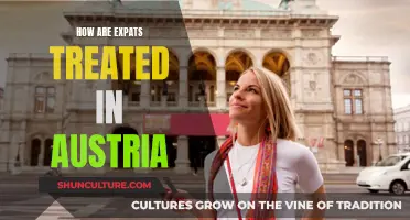 Expats in Austria: Accepted, Respected, or Rejected?