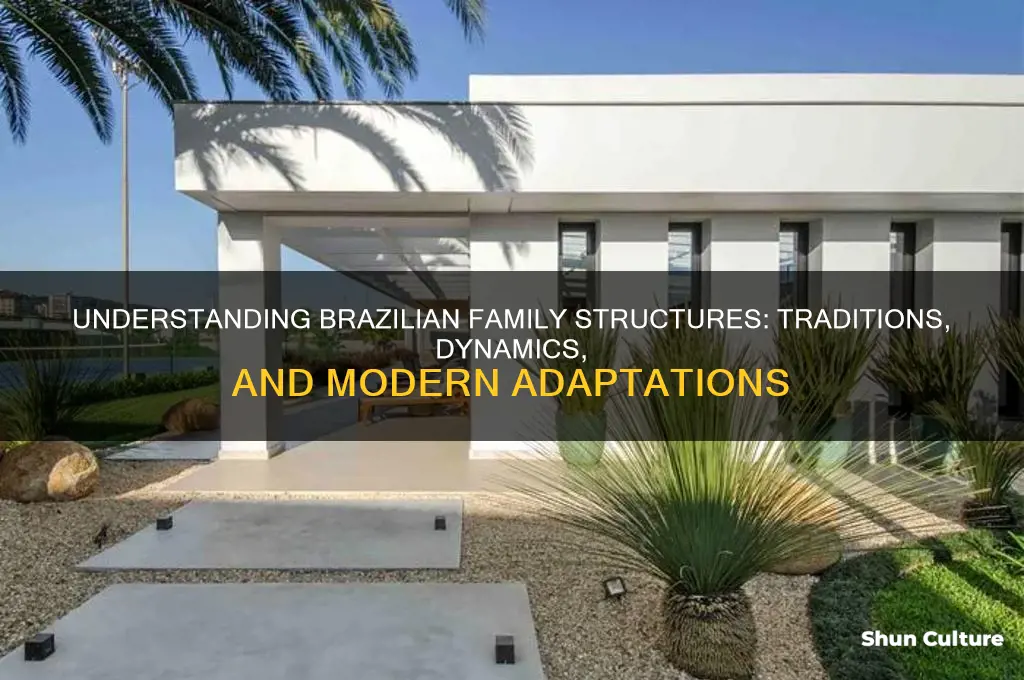 how are families organized in brazil