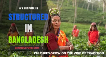 Exploring Traditional and Modern Family Structures in Bangladesh Today