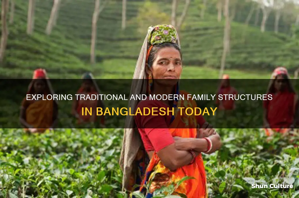 how are families structured in bangladesh