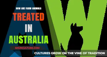 The Treatment of Farm Animals in Australia