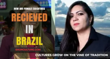Female Leadership in Brazil: Reception, Challenges, and Cultural Dynamics