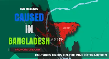Understanding the Causes of Devastating Floods in Bangladesh