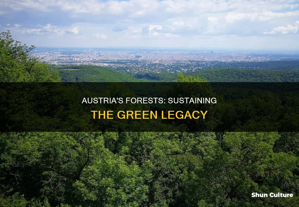 how are forests in austria sustained