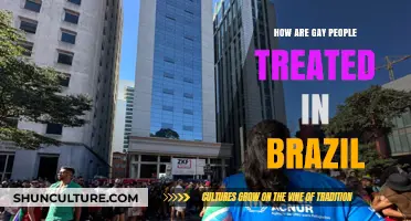 LGBTQ+ Rights and Challenges: Brazil's Complex Treatment of Gay Individuals