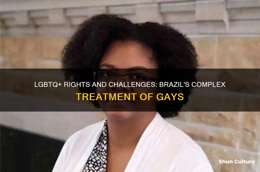 how are gays treated in brazil