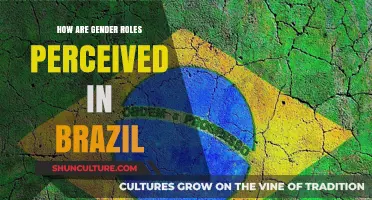 Exploring Brazil's Gender Dynamics: Traditional Roles vs. Modern Perceptions