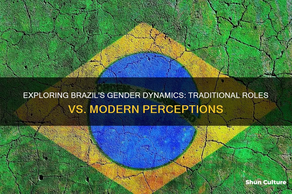 how are gender roles perceived in brazil