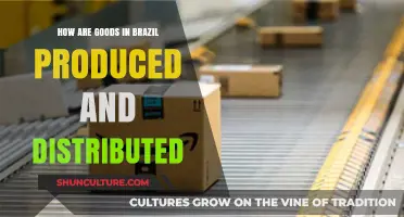 Brazil's Production and Distribution: A Comprehensive Guide to Goods Flow