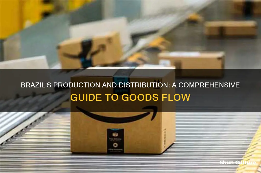 how are goods in brazil produced and distributed