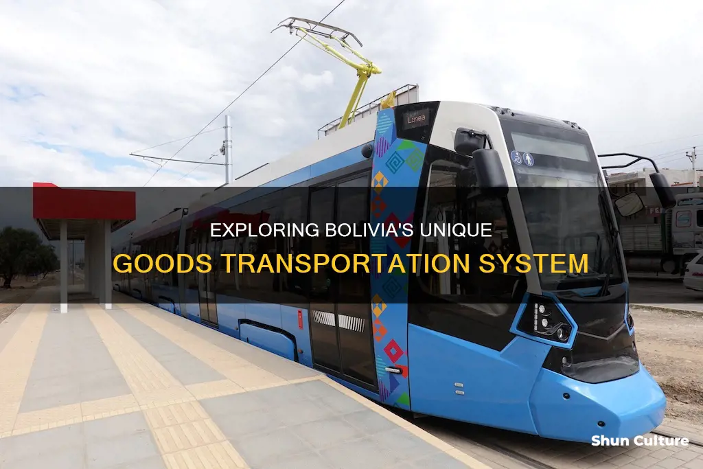 how are goods transported in bolivia