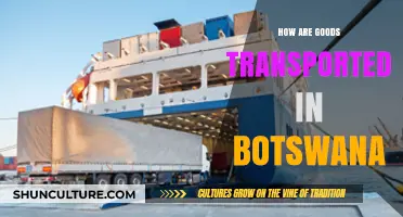 Efficient Goods Transportation Methods in Botswana: Routes, Challenges, and Solutions