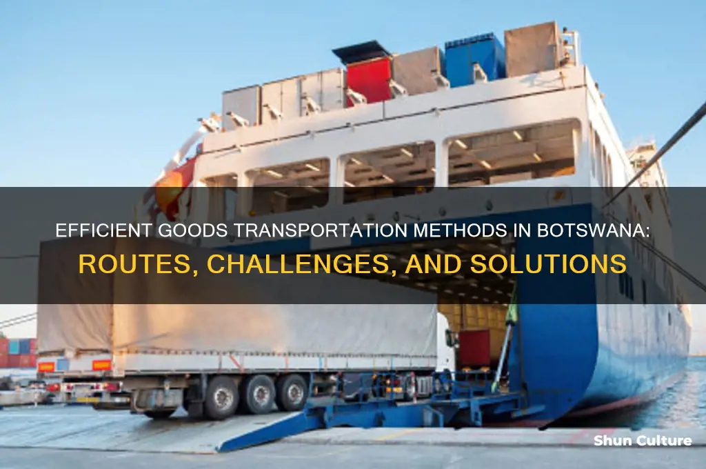 how are goods transported in botswana