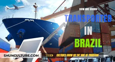Brazil's Logistics: How Goods Are Transported Across the Country
