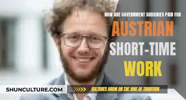 Government Subsidies: Austrian Short-Time Work Explained