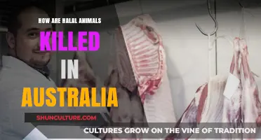 Halal Animal Slaughter in Australia: The Process