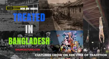 Hindu Minorities in Bangladesh: Challenges, Rights, and Societal Dynamics
