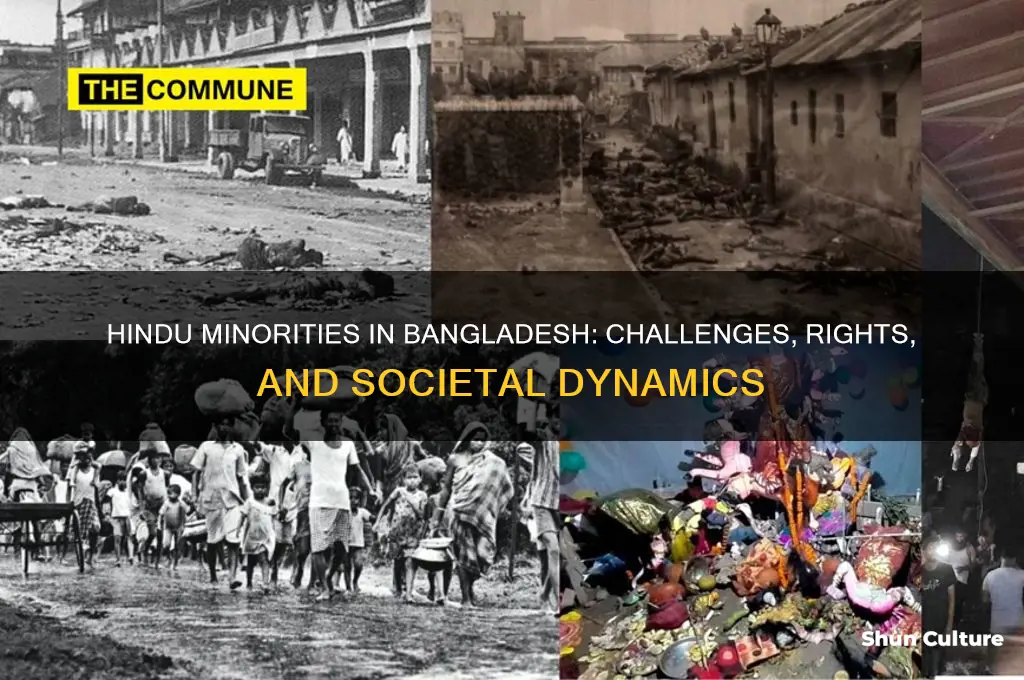 how are hindus treated in bangladesh