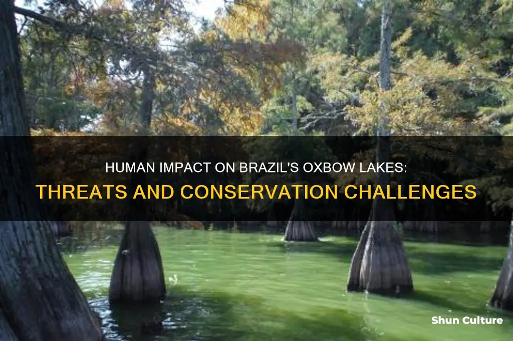 how are humans affecting oxbow lakes in brazil