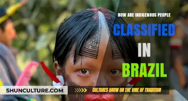 Understanding Brazil's Indigenous Classification System: Identity, Culture, and Recognition