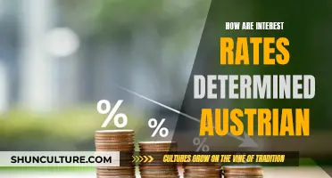 Austrian Economics: Interest Rates Explained